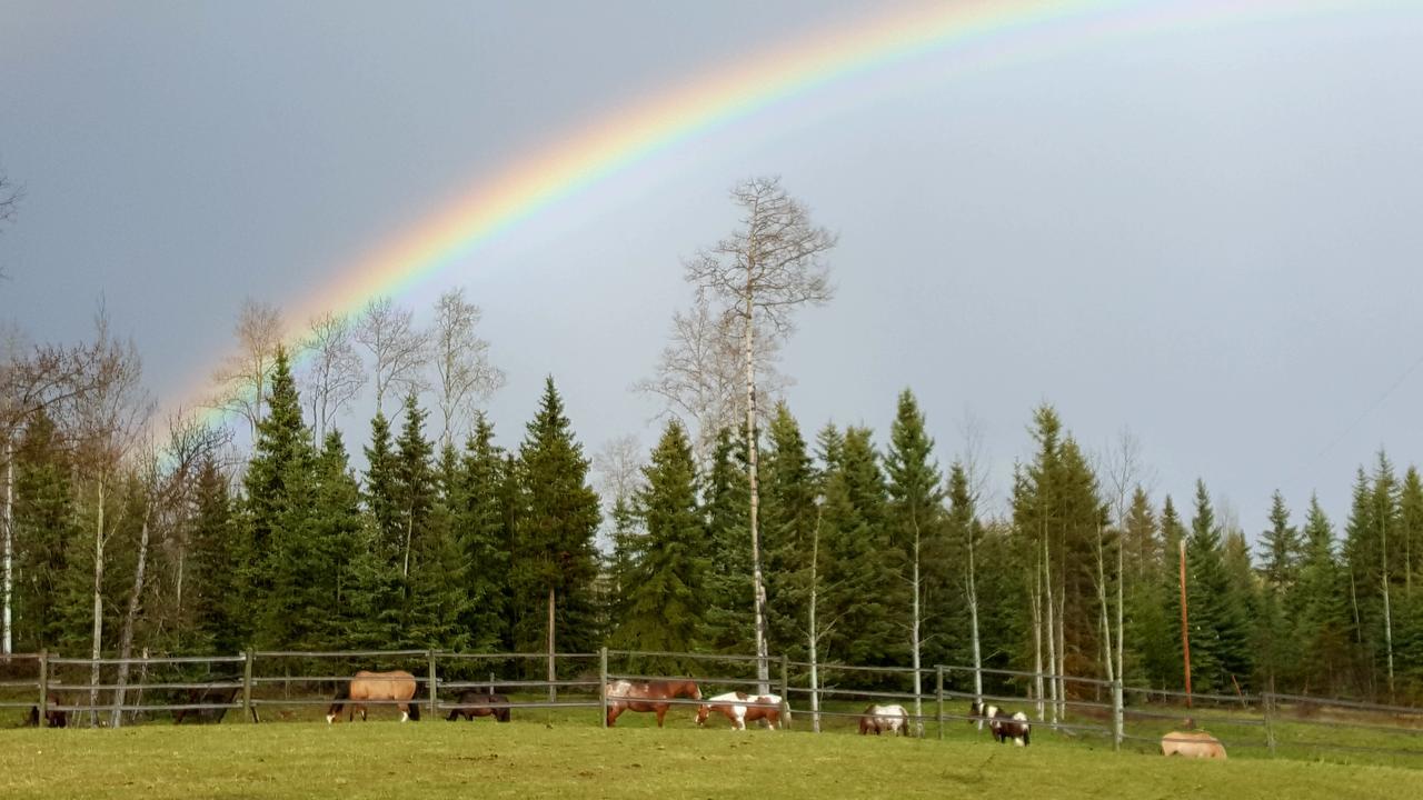 Wettstone Guest Ranch Acomodação com café da manhã Bridge Lake Exterior foto