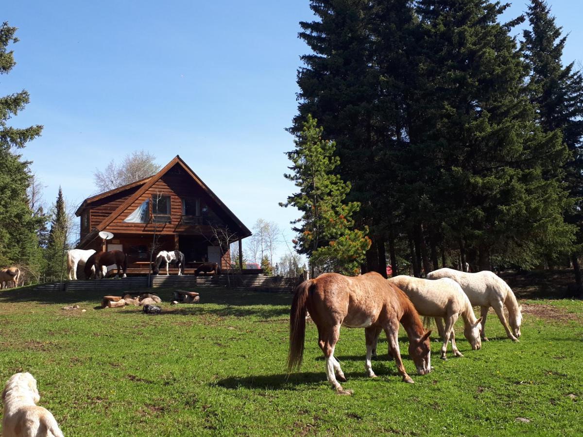Wettstone Guest Ranch Acomodação com café da manhã Bridge Lake Exterior foto